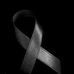 Alin Bodea - Facebook