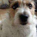 Alan Boden - @boden.alan - Instagram
