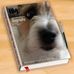 Alan Boden - Facebook