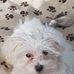 Alan Boden - Facebook