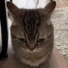 alanboeee_ - @alanboeee_ - TikTok