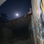 Landon Boggess - @landonbog - Instagram