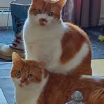 Alain Boisvert - @alain.boisvert.14 - Instagram