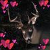 Alan Bolme - Facebook