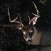 Alan Bolme - Facebook