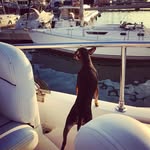 Alan Bolte - @boltealan - Instagram