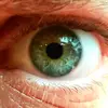 alan bonder - @a.bonder - TikTok