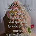 Alan Bone - Facebook
