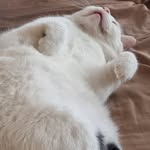 Alan Bones - @digi_al - Instagram