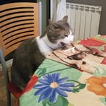 Alain Bonneau - @alain.bonneau.77 - Instagram