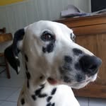 Alain Bonneau - @alai.4972 - Instagram