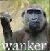 Alan Boon - Facebook