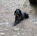 Alan Boone - Facebook