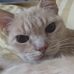 Alan Borchardt - Facebook