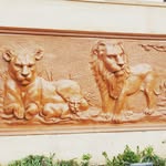 Alan Alan Border Soni - @alanbordersoni - Instagram