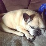 Alan Borders - @alan.tazman1 - Instagram