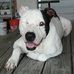 Alan Borg - Facebook