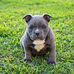 Alan Borg - Facebook