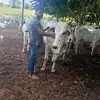 Alan Borges - @alanborges22 - TikTok