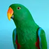 Alan Borges - @alan.borges744 - TikTok