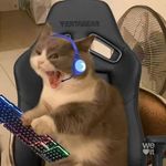 Alan Borkowski - @borkowski.alan - Instagram