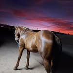 Alan Jesús Calderón Borrego - @alanjesuscalderonborrego - Instagram