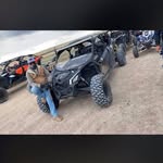 Borrego Alan - @borrego.alan - Instagram