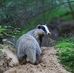 Alan Borsuk - Facebook