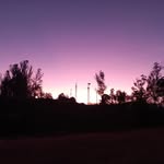 Alan Bos - @alan_boss58 - Instagram