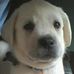 Allan Boshell - Facebook