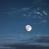 Allan Boshell - @allan.boshell - TikTok