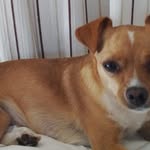 Alan Botelho - @botelho7278 - Instagram