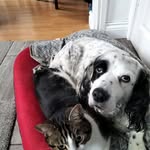 Alan Bottomley - @bottomleyalan52 - Instagram