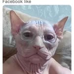 Alan Bottomley - @alanbott3 - Instagram