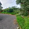 Alan 😀 - @alan.bourne40 - TikTok