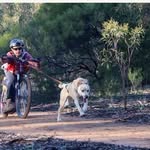 Alan Bowles - @hellwolf2003 - Instagram