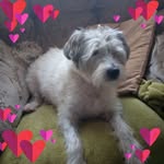 Alan Bowles - @alanbowles51 - Instagram