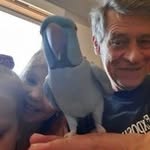 Alan Bowles - @alan.bowles99 - Instagram