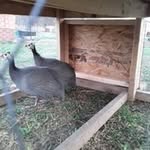 Alan Bowser - @bowser1444 - Instagram