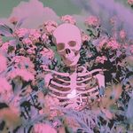 Alan Boyer - @the_midnight_gospel._ - Instagram