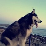 Alan Boyle - @alanb96 - Instagram