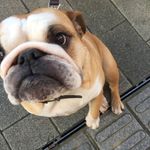 Alan Boyle - @alan_boyle_photos - Instagram