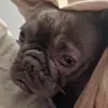 Alan Boynton - @alan.boynton - TikTok
