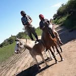 Alan Bracamonte - @alan.bracamonte.75 - Instagram
