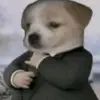 Alan Bracamonte - @alan.bracamonte8 - TikTok
