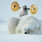 Alan Earl Bragg - @alanbragg14 - Instagram