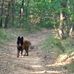 Alain Brame - Facebook