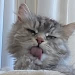 Brat_Alan - @brat_alann - Instagram