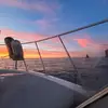 Alan_braun - @alanbraun7 - TikTok