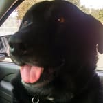 Alan Brawner - @nuggs24 - Instagram